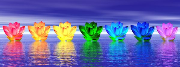 fleurs chakras sur l'eau de nuit